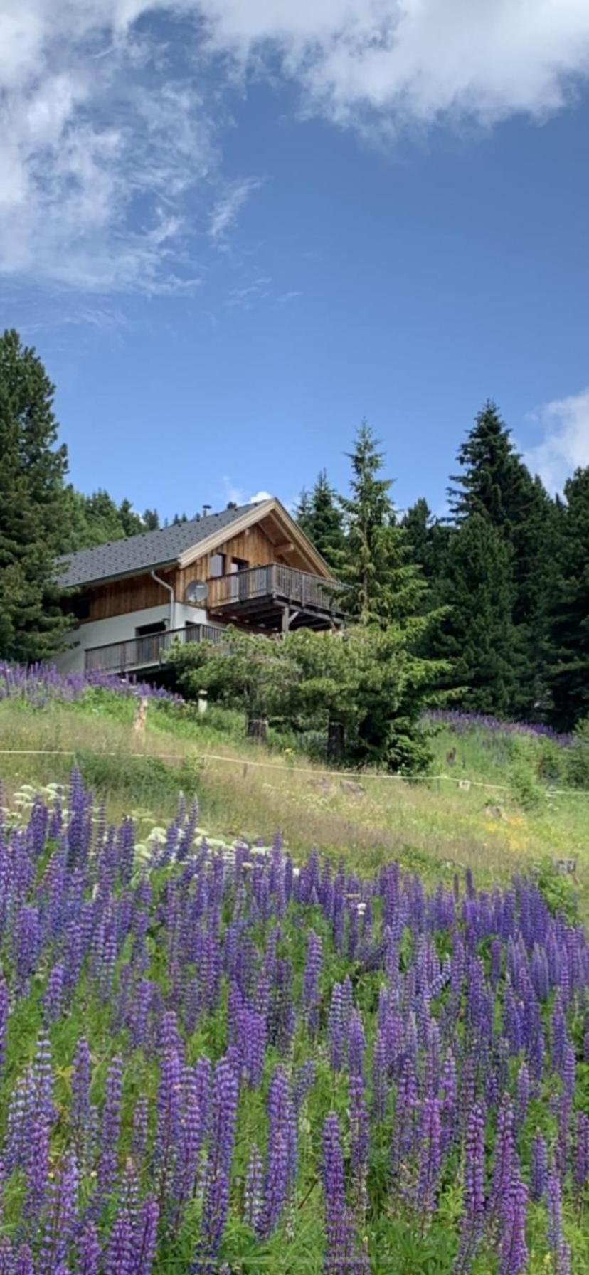 Chalet Claassen Turracher Hohe Zewnętrze zdjęcie